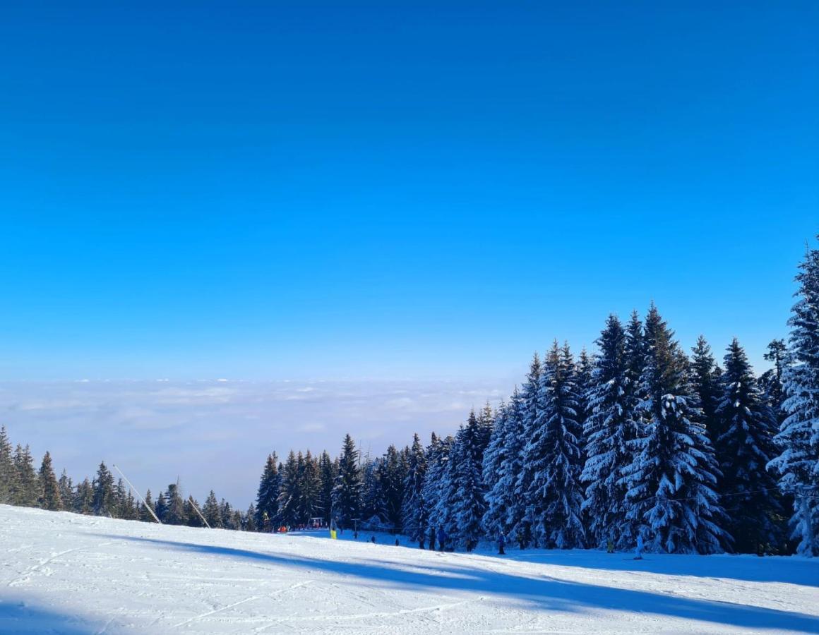 Flora Ski-slope Apartment Borovets Exterior foto